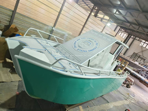 19ft Holiday Outdoor Aluminum Catamran Boat